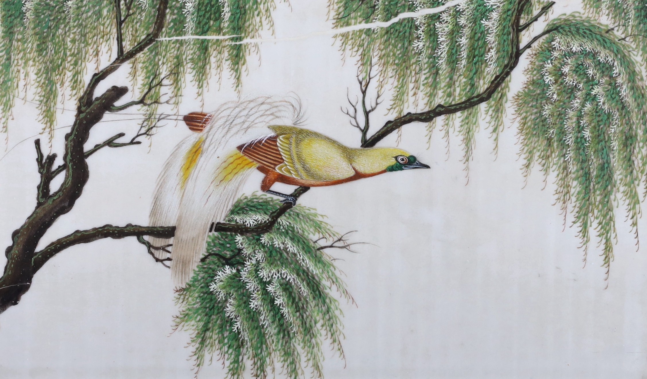 19th century Chinese School, four gouaches on pith paper, Studies of birds in landscapes, 18 x 30cm